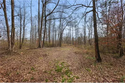 0 Winford Smith Road, Athens, GA 30607 - Photo 7