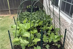 4810 Shiloh Creek Ct, Cumming, GA 30040 - Photo 43