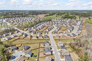 489 Azalea Bloom Dr, Loganville, GA 30052 - Photo 61