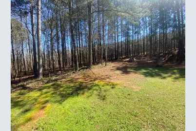 1529 Marigold Drive, Bethlehem, GA 30620 - Photo 3