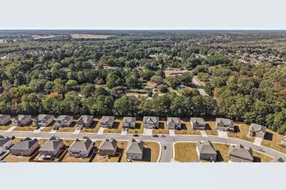 120 Cabin Way, Hampton, GA 30228 - Photo 43