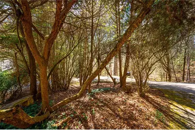 9 Blackbear Mountain Trail, Suches, GA 30572 - Photo 75
