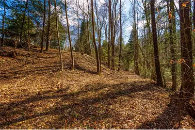 9 Blackbear Mountain Trail, Suches, GA 30572 - Photo 71