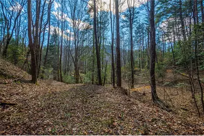 9 Blackbear Mountain Trail, Suches, GA 30572 - Photo 3