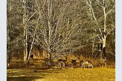 1072 Ford Road, Jefferson, GA 30549 - Photo 5