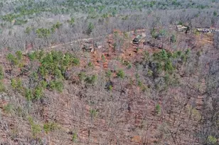 1492 Ivy Mountain Rd, Clarkesville, GA 30523 - Photo 43