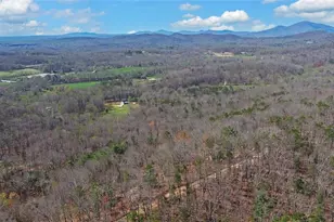 1492 Ivy Mountain Rd, Clarkesville, GA 30523 - Photo 41