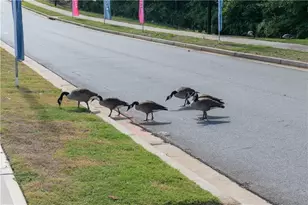 317 Brighton Bnd Ln, Acworth, GA 30102 - Photo 41