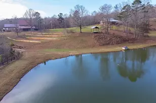 1249 Little Mountain Rd, Dawsonville, GA 30534 - Photo 55