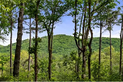 245 Old Anderson Creek, Ellijay, GA 30536 - Photo 27