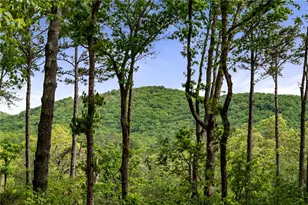 245 Old Anderson Creek, Ellijay, GA 30536 - Photo 27