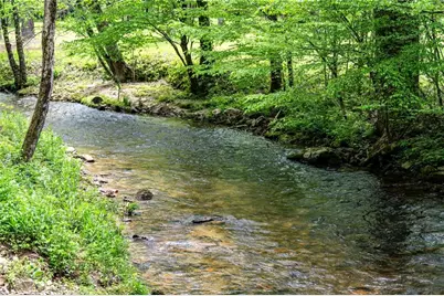 245 Old Anderson Creek, Ellijay, GA 30536 - Photo 71