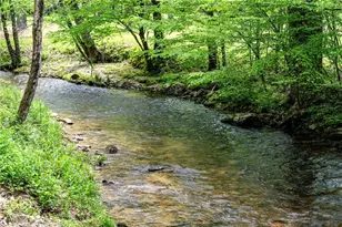 245 Old Anderson Creek, Ellijay, GA 30536 - Photo 71