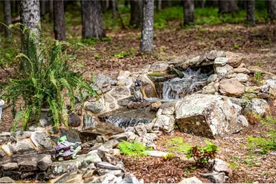 245 Old Anderson Creek, Ellijay, GA 30536 - Photo 9