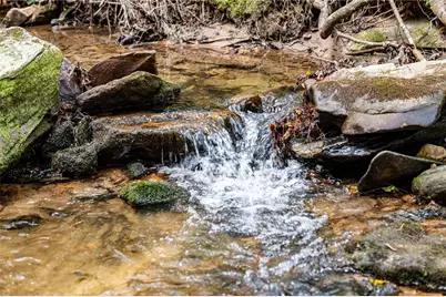 245 Old Anderson Creek, Ellijay, GA 30536 - Photo 57