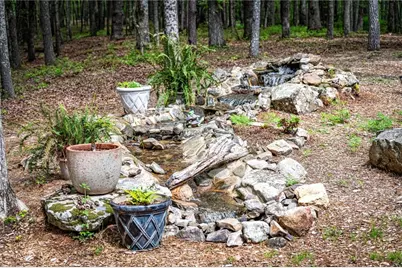 245 Old Anderson Creek, Ellijay, GA 30536 - Photo 61