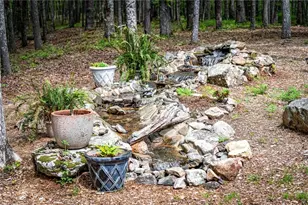 245 Old Anderson Creek, Ellijay, GA 30536 - Photo 61