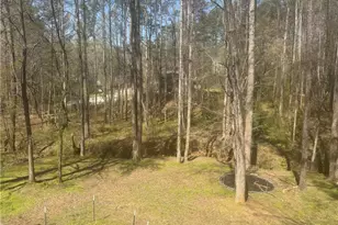 3150 Skyler Ct, Douglasville, GA 30135 - Photo 5