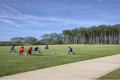 355 Cedar Wood Trace, Winder, GA 30680 - Photo 57