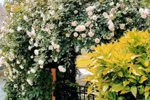 5440 Bentley Hall Dr, Johns Creek, GA 30005 - Photo 27