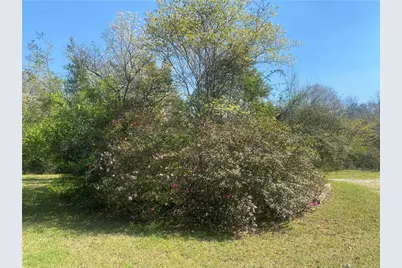 109 Hillcrest Road, Lumpkin, GA 31815 - Photo 9