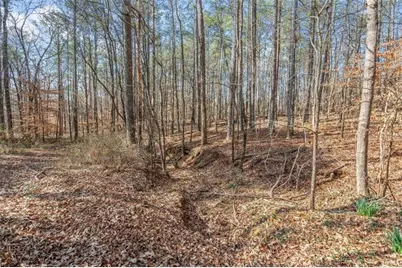 3743 Johnston Road, Winston, GA 30187 - Photo 53