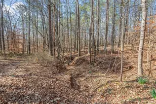 3743 Johnston Rd, Winston, GA 30187 - Photo 53