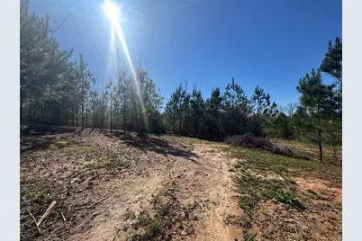 0 Folds Road, Carrollton, GA 30116 - Photo 19