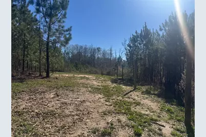 0 Folds Road, Carrollton, GA 30116 - Photo 9