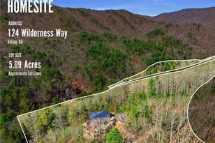 124 Wilderness Way, Ellijay, GA 30536 - Photo 95