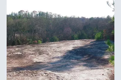 0000 Rabbit Farm Road, Loganville, GA 30052 - Photo 23