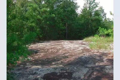 0000 Rabbit Farm Road, Loganville, GA 30052 - Photo 13