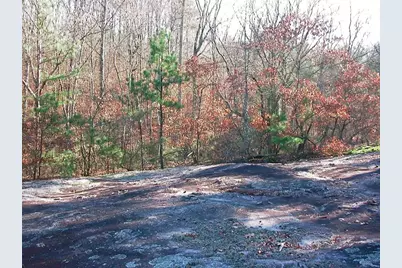 0000 Rabbit Farm Road, Loganville, GA 30052 - Photo 21