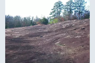 0000 Rabbit Farm Road, Loganville, GA 30052 - Photo 17