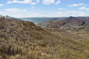 764 Chestnut Cove Trail, Jasper, GA 30143 - Photo 29