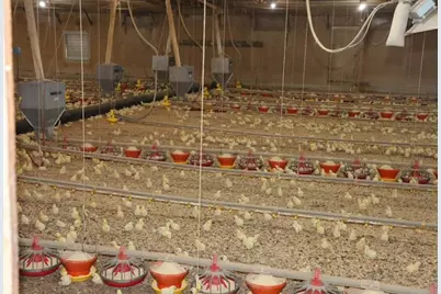 876 Wood Station Road, Rock Spring, GA 30739 - Photo 41