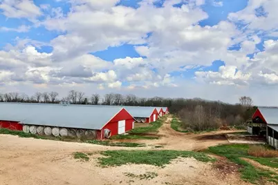 876 Wood Station Road, Rock Spring, GA 30739 - Photo 23