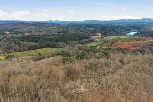 318 Wilmot-Fabus Mountain Rd, Blairsville, GA 30512 - Photo 79