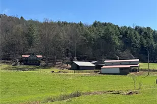 137 Blue Spruce Dr, Blairsville, GA 30512 - Photo 59