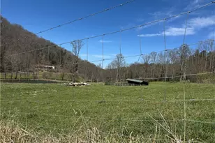 137 Blue Spruce Dr, Blairsville, GA 30512 - Photo 49