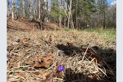 4360 Pool Rd, Winston, GA 30187 - Photo 3