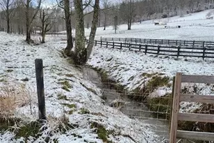 137 Blue Spruce Dr, Blairsville, GA 30512 - Photo 1