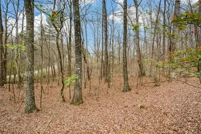 883 Tilley Road, Talking Rock, GA 30175 - Photo 69