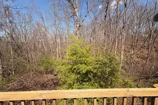 460 Cherokee Trail, Ball Ground, GA 30107 - Photo 3