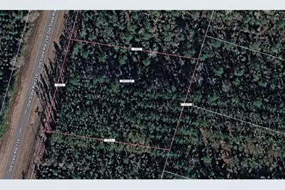 Lot27 Old State Rt 259, Waynesville, GA 31566 - Photo 1