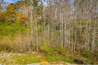 138 Deer Crossing, Temple, GA 30179 - Photo 21