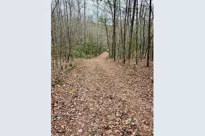 807 East Ridge Lane, Ellijay, GA 30536 - Photo 5