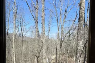 596 Ripshin Mountain Rd, Blue Ridge, GA 30513 - Photo 13