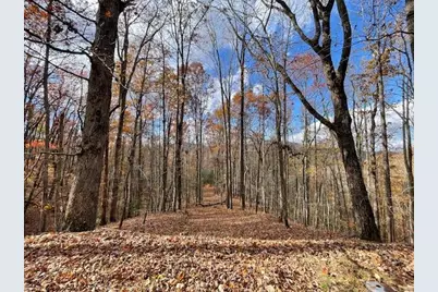 596 Ripshin Mountain Road, Blue Ridge, GA 30513 - Photo 19