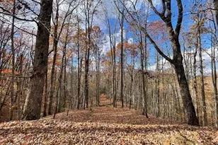 596 Ripshin Mountain Rd, Blue Ridge, GA 30513 - Photo 19